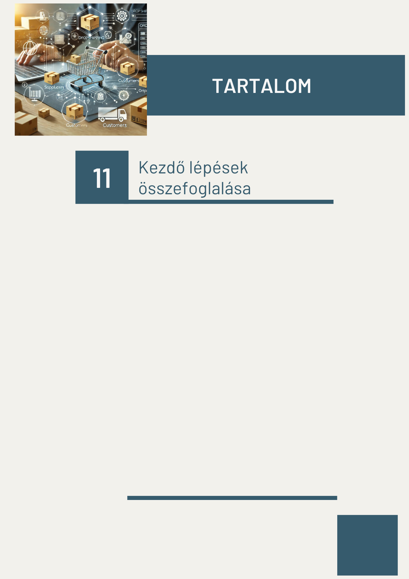 Indulj el MOST! Dropshipping Kezdőknek – Átfogó Útmutató a Sikeres Online Üzlet Indításához (Digitális eBook)