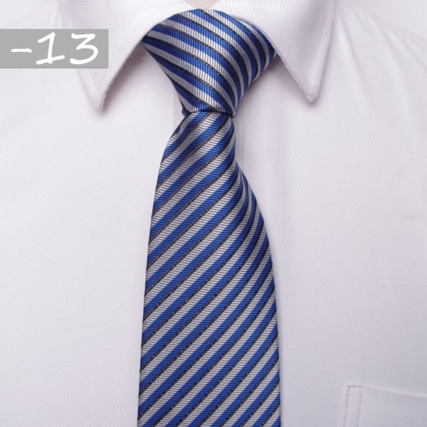 Classic men business formal wedding tie